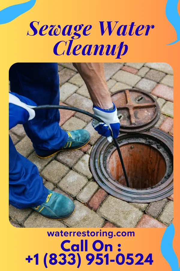 Sewage Water Cleanup in Henning, IL