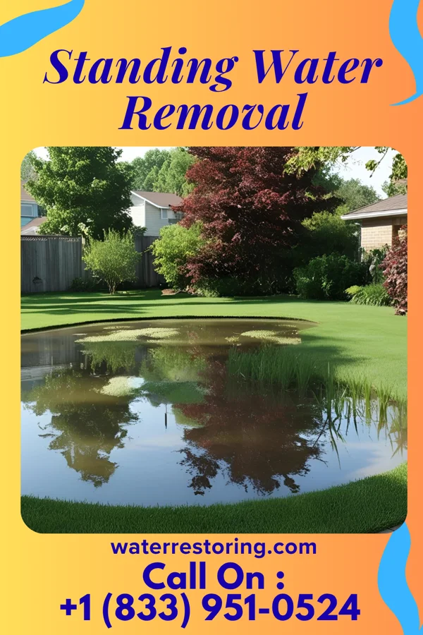 Standing Water Removal in Henning, IL